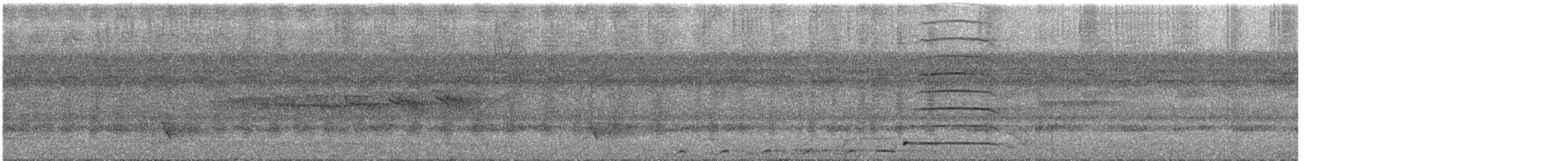 selvaskasik - ML647694058