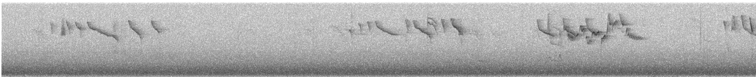 Grimpar montagnard - ML647694968