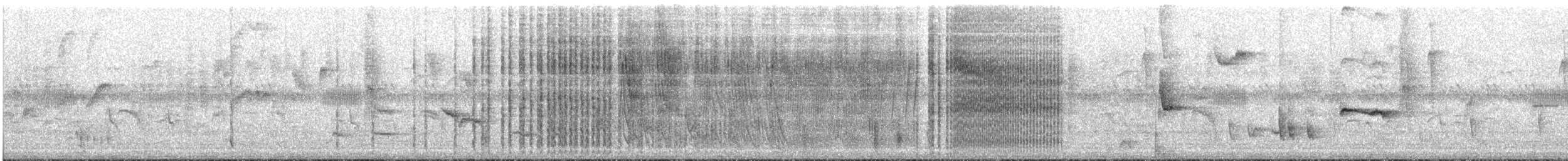 Golden-backed Weaver - ML647695104