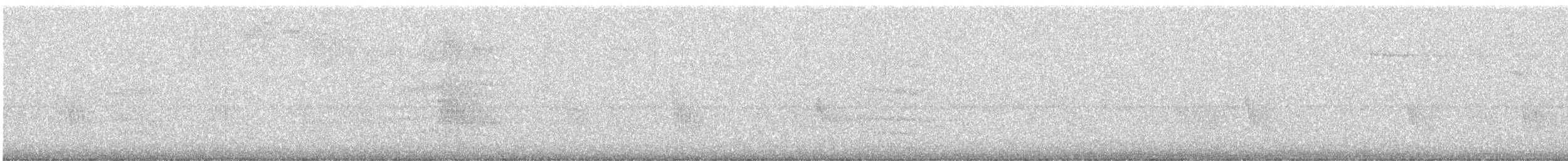 Pabuç Gagalı Tiran - ML647695384