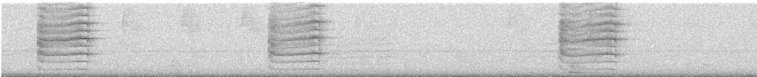 Pabuç Gagalı Tiran - ML647695386