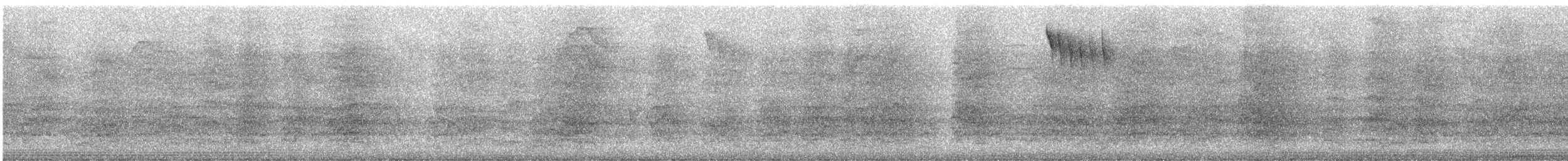 Conure de Ridgway - ML647695424