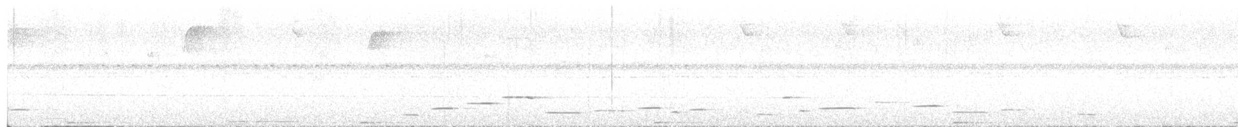 Troglodyte arada (salvini) - ML647695619