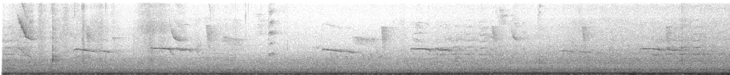 Tyranneau passegris - ML647695655