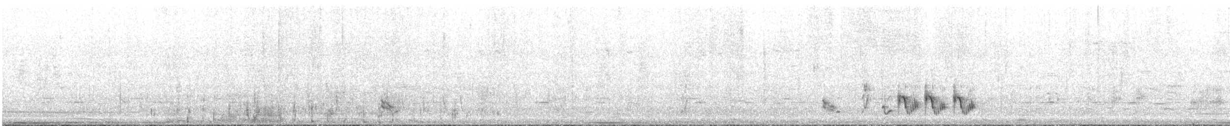 Rousserolle à bec fin - ML647695670