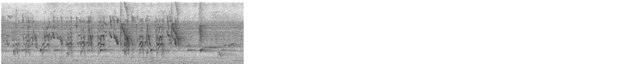 Птах sp. - ML647697127