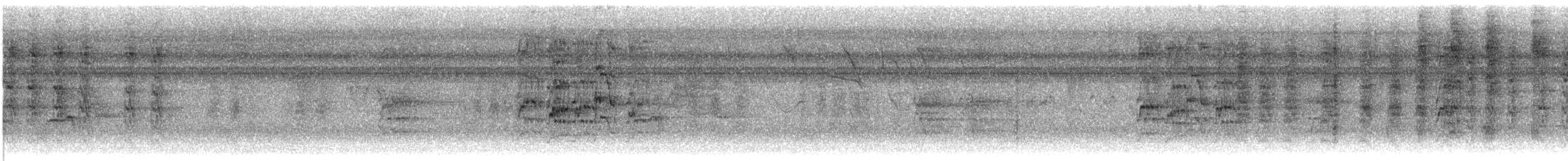 Mistletoe Tyrannulet - ML647697567