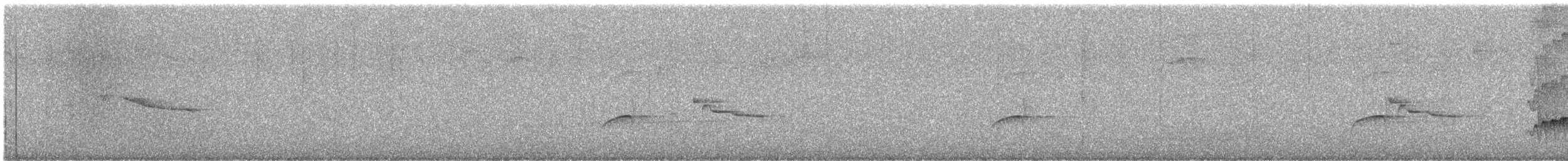 Red-billed Scythebill - ML647697587