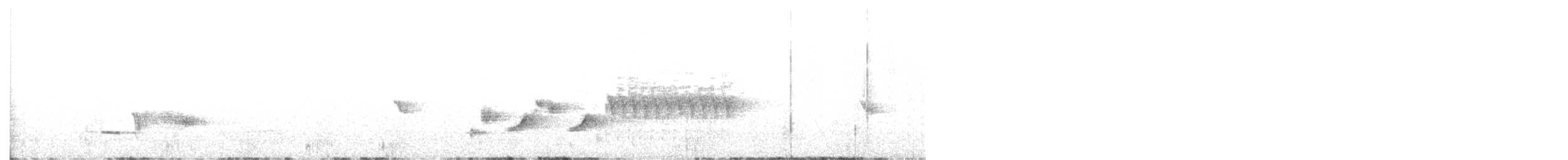 šatovník karmínový - ML647698289