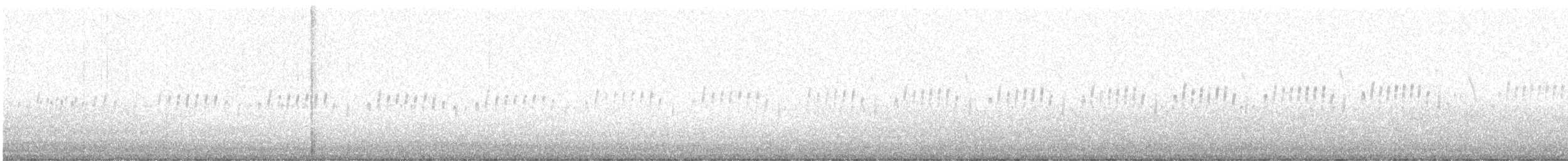 sluka americká - ML647698590