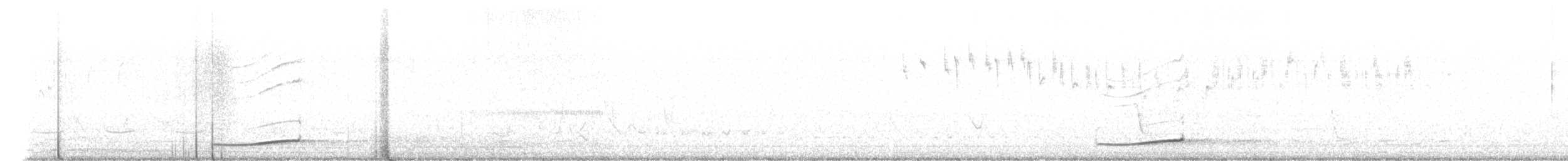 kukačka pacifická - ML647698929