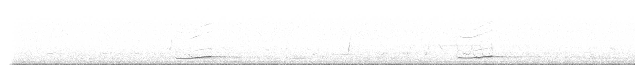 kukačka pacifická - ML647698930