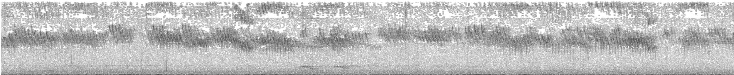 brkoslav severní - ML647698995