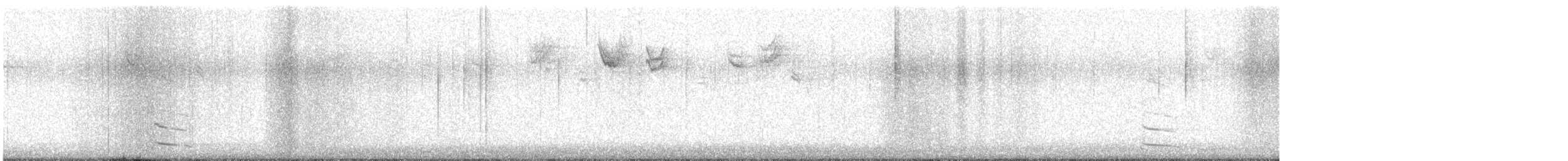 racek americký - ML647699758