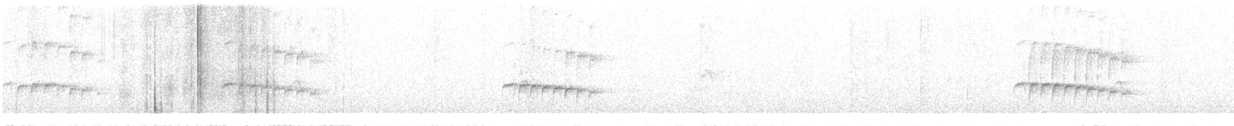 Scaled Antbird - ML647700120