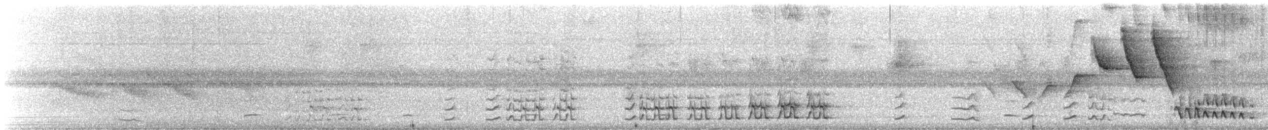 lenivka černočelá - ML647700367