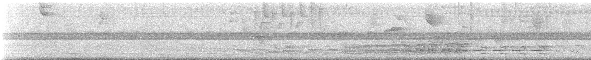 lenivka černočelá - ML647700372