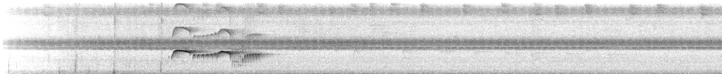 Southern Antpipit - ML647700401