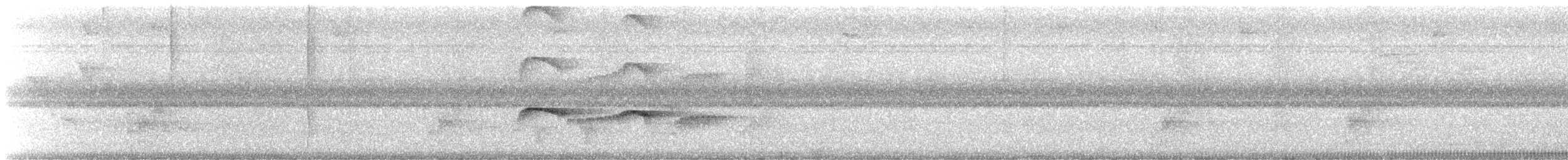 Southern Antpipit - ML647700409