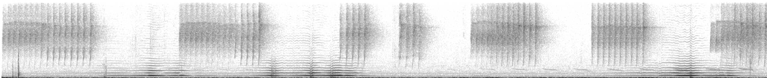 Squamate Antbird - ML647700482