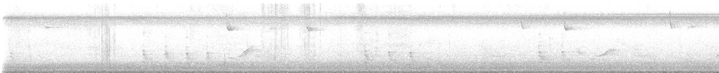 datel karolínský - ML647700483