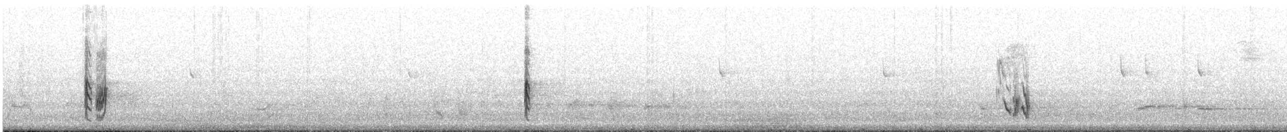 drozdec kalifornský - ML647700580