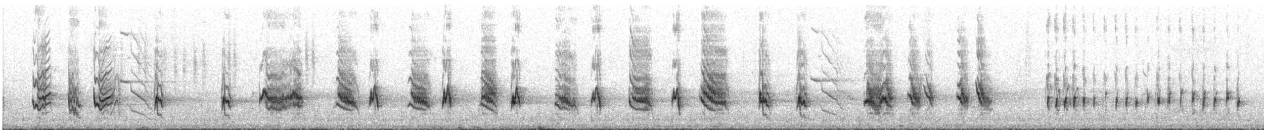 drozdec kalifornský - ML647700701