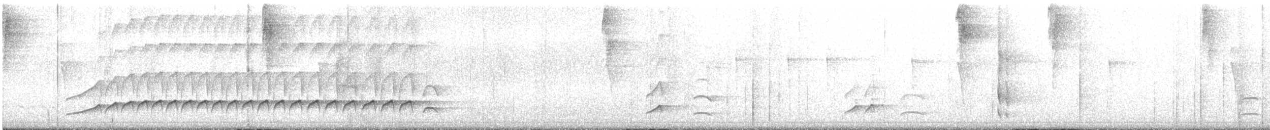 Gray-hooded Attila - ML647700832