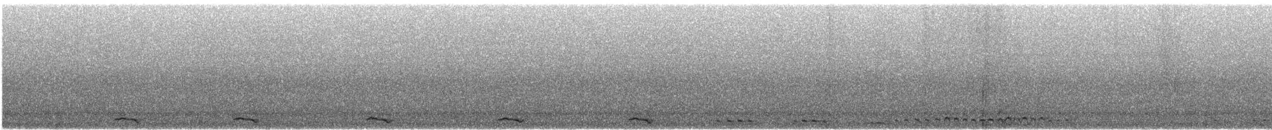 Western Screech-Owl - ML647702116