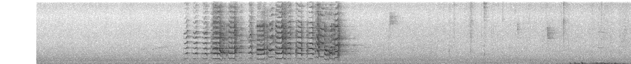 Amazone de Cuba (caymanensis/hesterna) - ML647702185