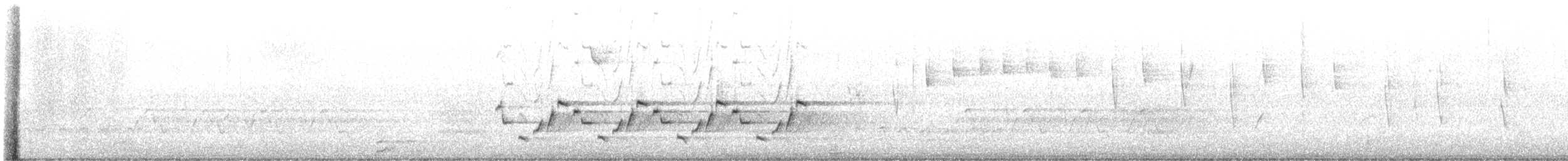 Carolina Wren - ML647703000