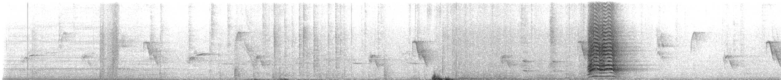 Hadada Ibis - ML647704561