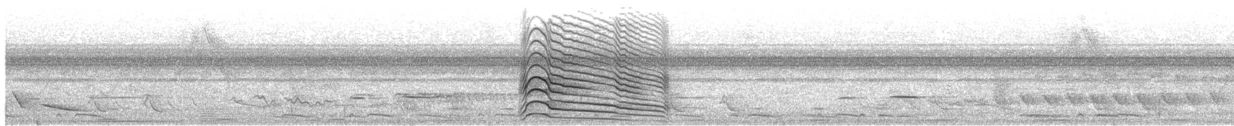 Тонкоклювый коршун - ML647705171