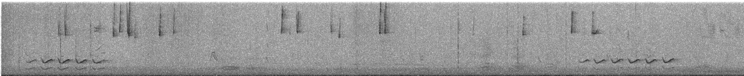 Повзик каролінський - ML647706045