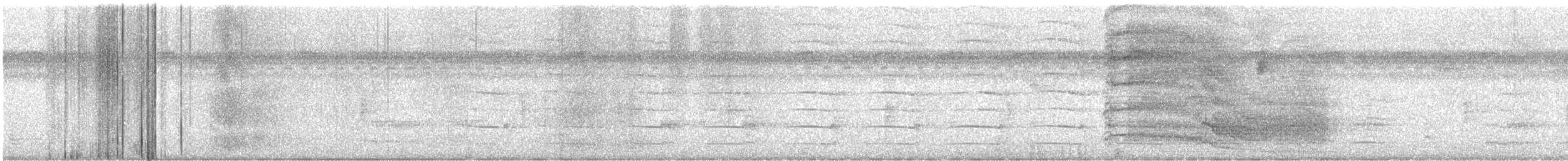 Peregrine Falcon - ML647706410