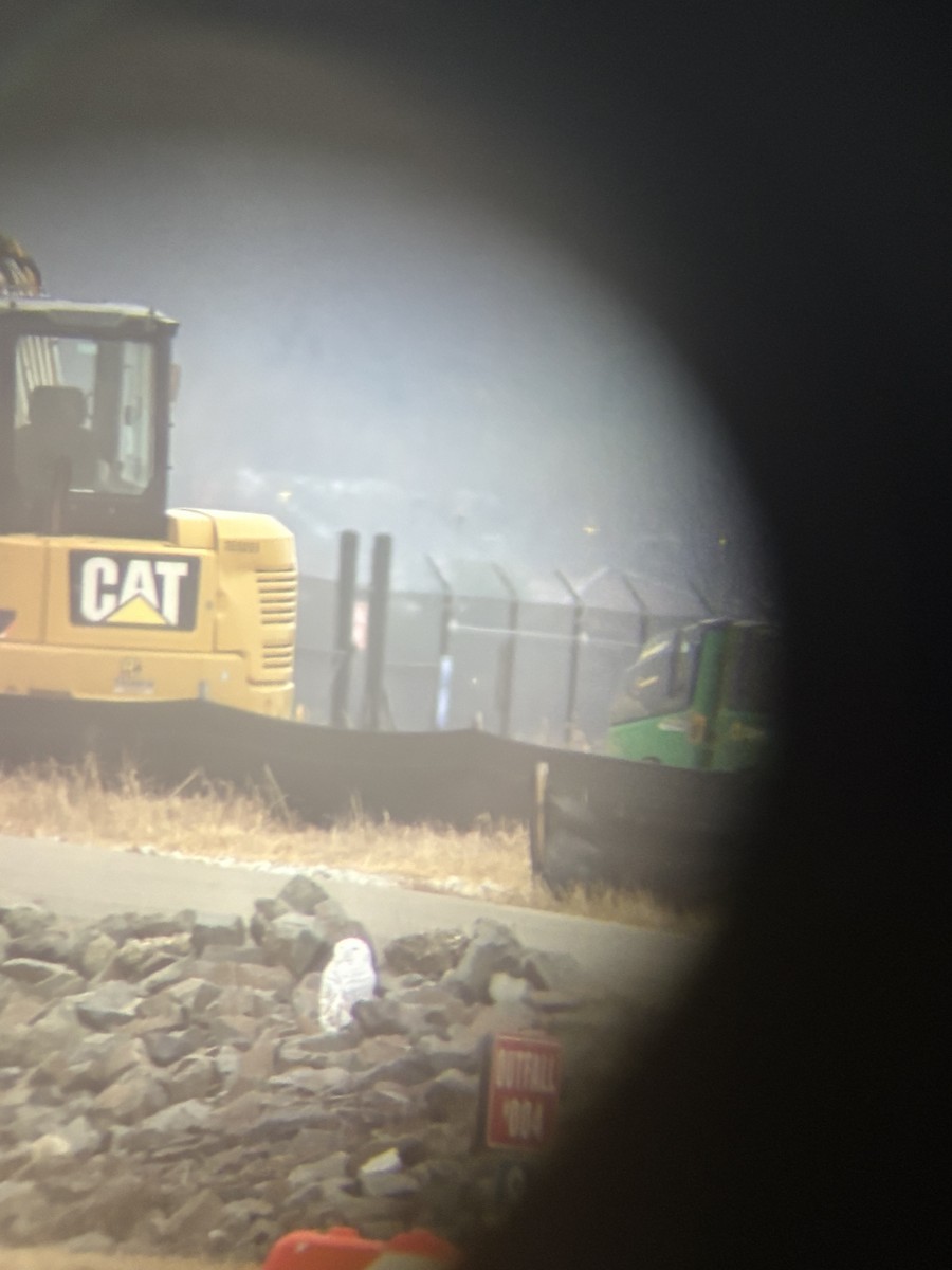 Snowy Owl - ML647708481