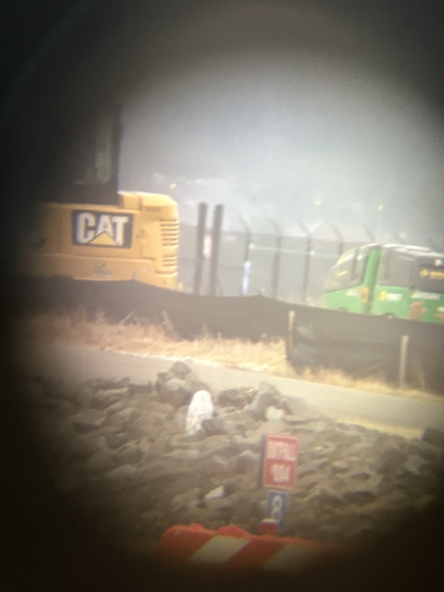 Snowy Owl - ML647708483