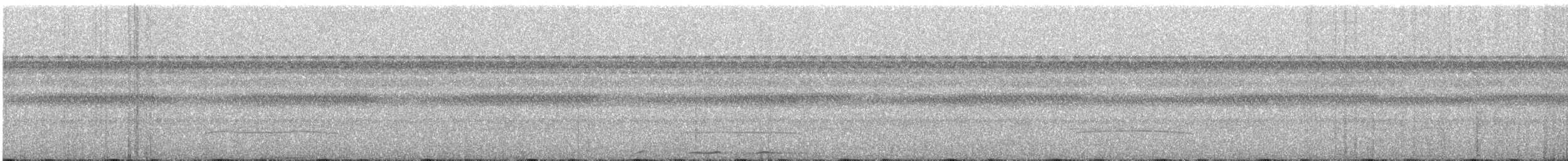 Chestnut-capped Puffbird - ML647708866