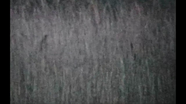 Tarabuso - ML647709117