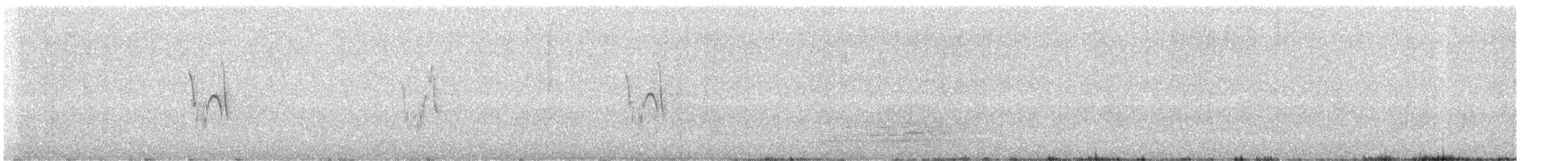 White Wagtail - ML647709203