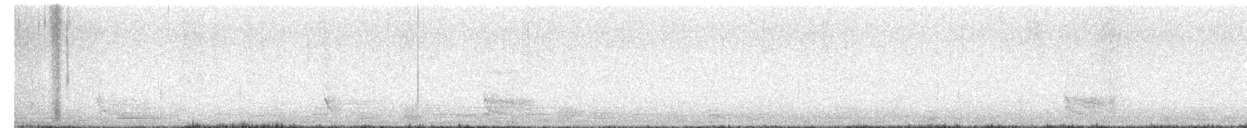 Belatxiki arrunta - ML647709787