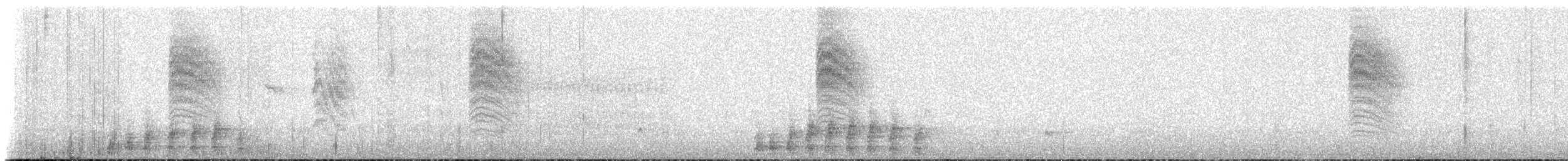 Coppery-tailed Trogon - ML647710351