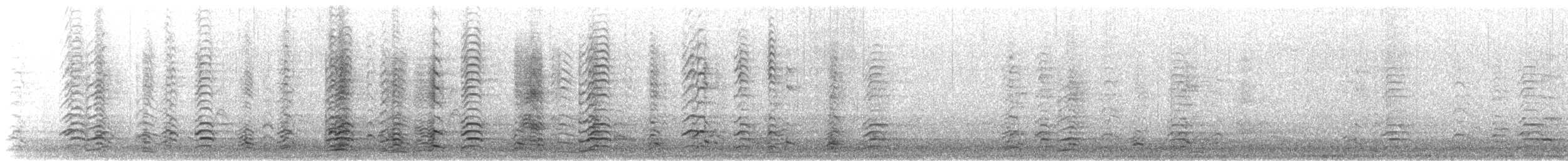 小加拿大雁 - ML647711070