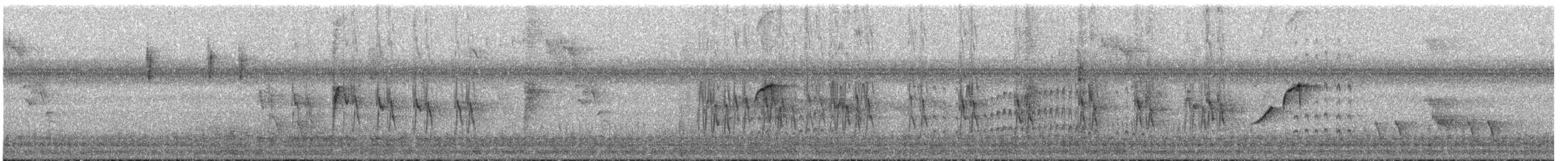 Rotscheitel-Maskentyrann - ML647711109