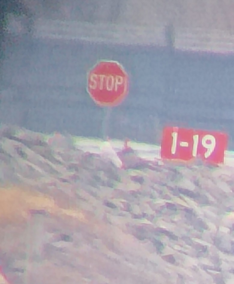 Snowy Owl - ML647712595