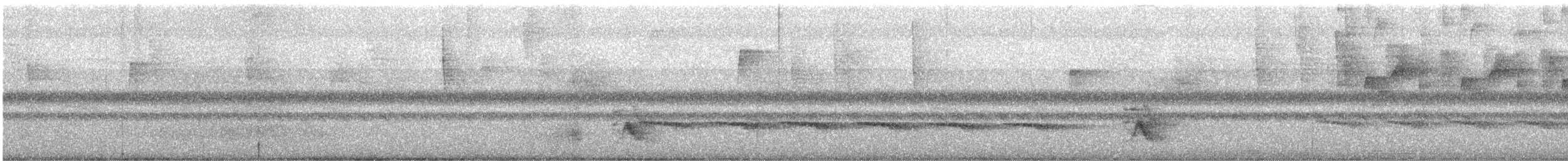 Grive à joues grises - ML647713982