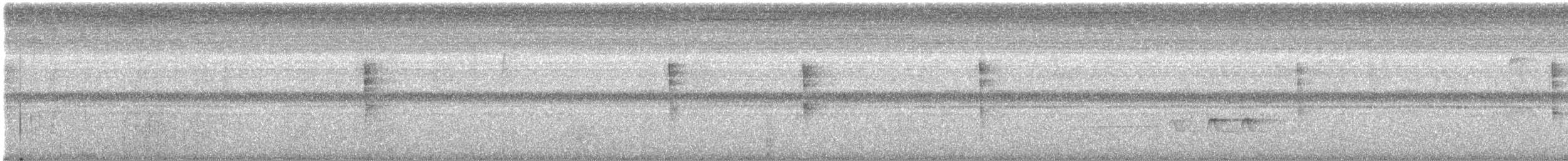 Канадская вильсония - ML647714131