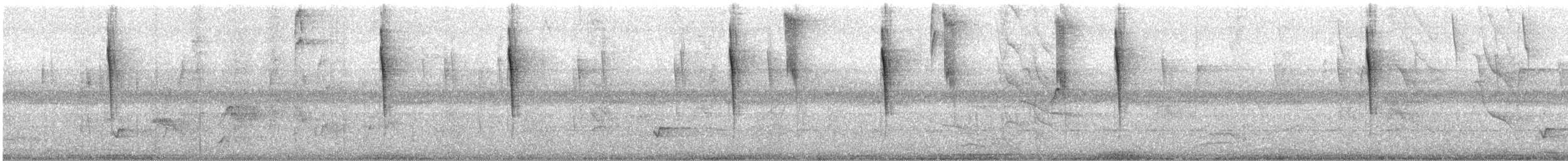 Tennessee Warbler - ML647714400