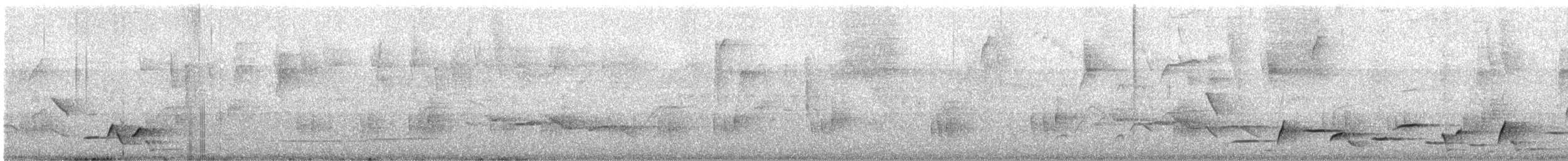 Whiskered Wren - ML647714529