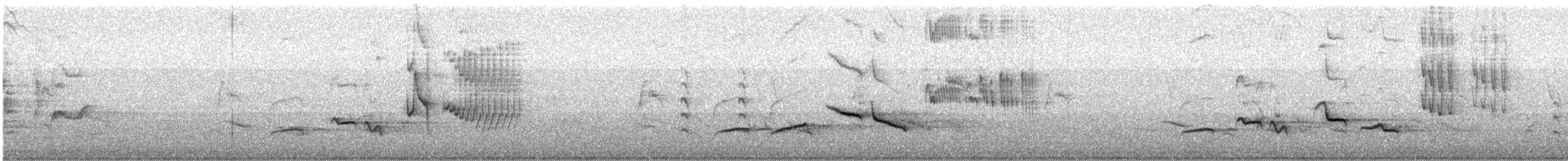 Great Thrush - ML647715286